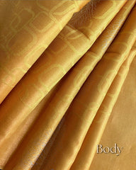 Noor Dual-Tone Semi Tussar Saree