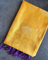 Noor Dual-Tone Semi Tussar Saree