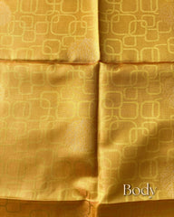 Noor Dual-Tone Semi Tussar Saree