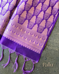 Noor Dual-Tone Semi Tussar Saree